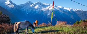 langtang-gosainkunda-pass-trek